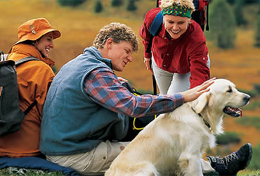 Urlaub mit Hund im Pinzgau