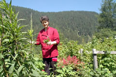Margreth Vötter im Kräutergarten