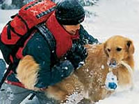 Lawinenausbildung f�r Hunde