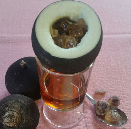 Hustensaft aus Rettich