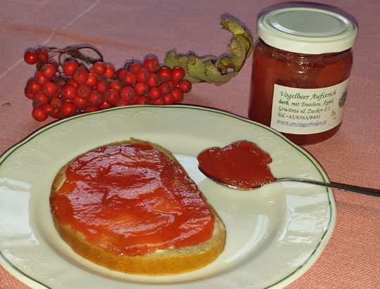 Vogelbeer Marmelade