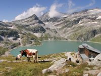 Weisssee