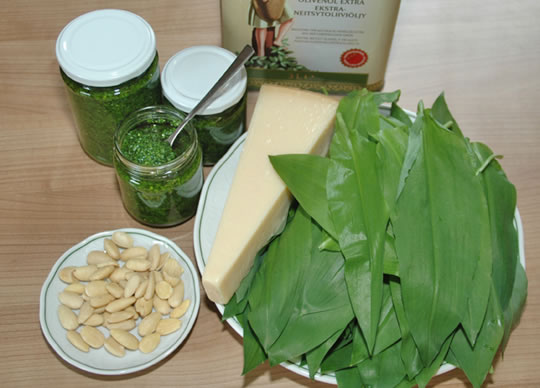 Bärlauchpesto