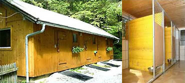 Urlaub mit Hund in Salzburg, Alpengasthof Enzingerboden Uttendorf