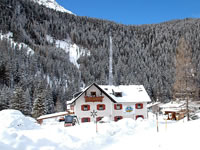 Skiurlaub mit Hund am Enzingerboden in Österreich