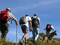 Wandern mit Familie und Hund