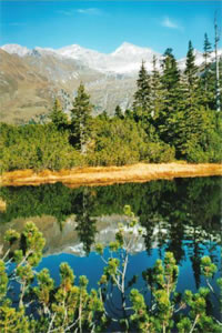 Wiegenwald im Herbst