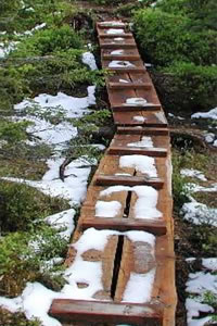 Steig im Wiegenwald nach dem 1. Schneefall